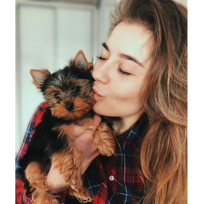 EasyPaws Dog Grooming Kit + FREE Beginner Friendly Guides